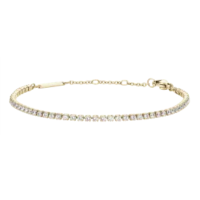 Daniel Wellington Classic Tennis Bracelet Gold